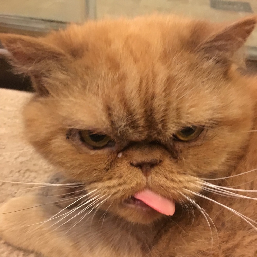 @Bekafab  FOLLOW GAME😻 - Picture 8 of 11